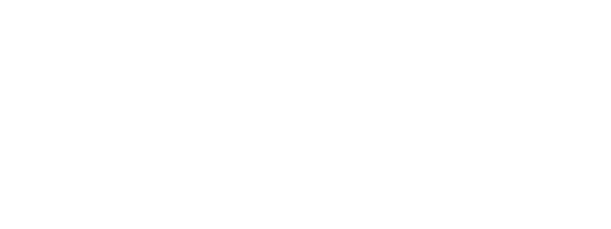 Logo Orizzontale Grigio Chiaro